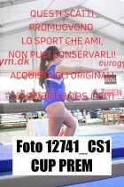 12741_CS1-CUP-PREM