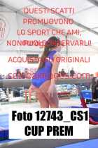 12743_CS1-CUP-PREM