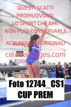 12744_CS1-CUP-PREM
