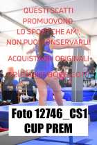 12746_CS1-CUP-PREM