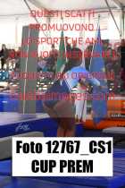 12767_CS1-CUP-PREM