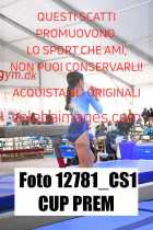 12781_CS1-CUP-PREM