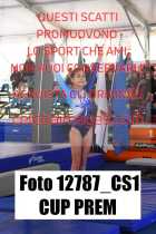 12787_CS1-CUP-PREM