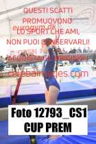 12793_CS1-CUP-PREM