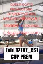12797_CS1-CUP-PREM