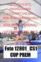 12801_CS1-CUP-PREM