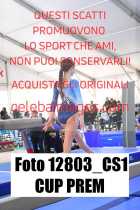 12803_CS1-CUP-PREM