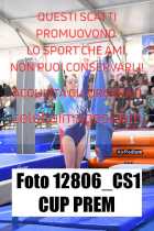12806_CS1-CUP-PREM