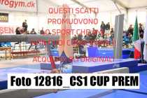 12816_CS1-CUP-PREM