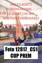 12817_CS1-CUP-PREM
