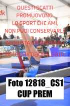 12818_CS1-CUP-PREM
