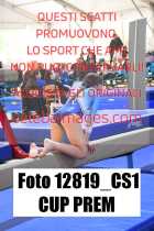 12819_CS1-CUP-PREM
