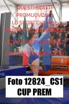 12824_CS1-CUP-PREM