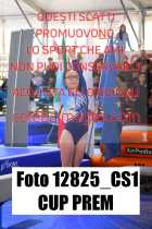 12825_CS1-CUP-PREM