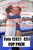 12827_CS1-CUP-PREM