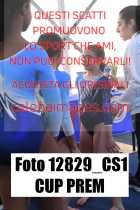 12829_CS1-CUP-PREM