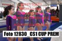 12830_CS1-CUP-PREM
