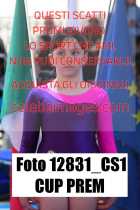 12831_CS1-CUP-PREM