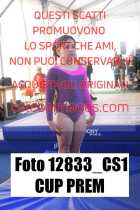 12833_CS1-CUP-PREM