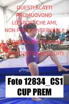 12834_CS1-CUP-PREM