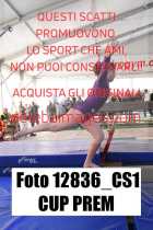 12836_CS1-CUP-PREM