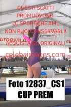 12837_CS1-CUP-PREM