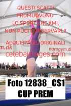 12838_CS1-CUP-PREM