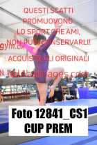 12841_CS1-CUP-PREM