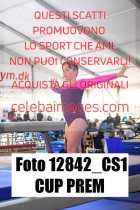 12842_CS1-CUP-PREM