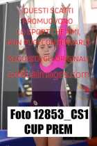 12853_CS1-CUP-PREM