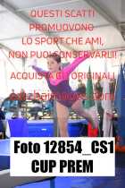 12854_CS1-CUP-PREM