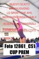 12861_CS1-CUP-PREM