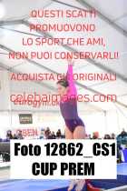 12862_CS1-CUP-PREM