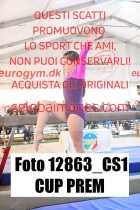 12863_CS1-CUP-PREM