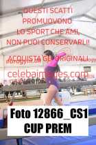 12866_CS1-CUP-PREM