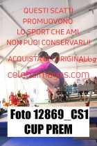 12869_CS1-CUP-PREM