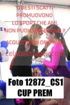 12872_CS1-CUP-PREM