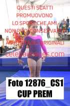 12876_CS1-CUP-PREM