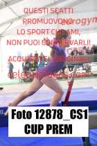12878_CS1-CUP-PREM