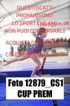 12879_CS1-CUP-PREM