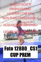 12880_CS1-CUP-PREM