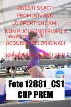 12881_CS1-CUP-PREM