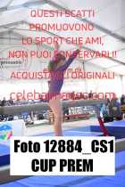 12884_CS1-CUP-PREM