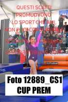 12889_CS1-CUP-PREM