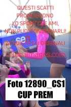 12890_CS1-CUP-PREM