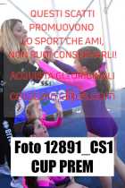 12891_CS1-CUP-PREM