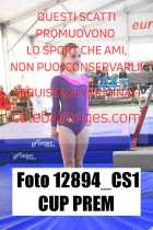 12894_CS1-CUP-PREM