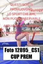 12895_CS1-CUP-PREM