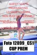 12899_CS1-CUP-PREM