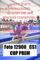 12900_CS1-CUP-PREM